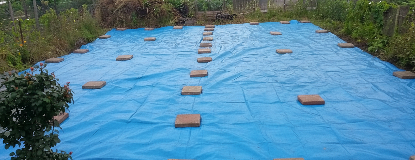 Warum deine Bauplane reißt